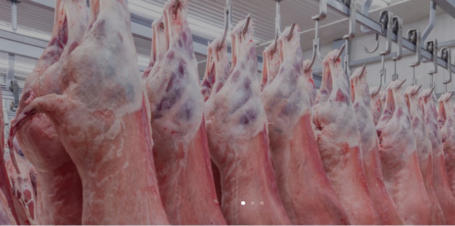 Desafíos en el uso de sistemas de refrigeración industrial y cómo abordarlos